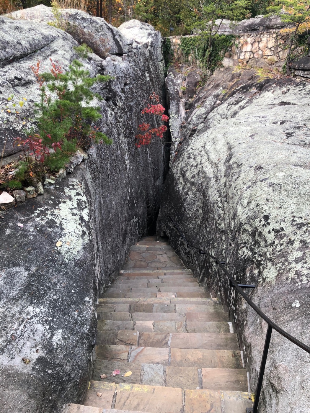 Narrative image